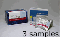 抗体標識キット Ab-10 Rapid HiLyte Fluor&trade; 555 Labeling Kit　