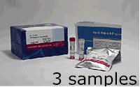 抗体標識キット Ab-10 Rapid R-Phycoerythrin Labeling Kit　