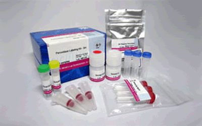 抗体標識キット Ab-10 Rapid Peroxidase Labeling Kit　