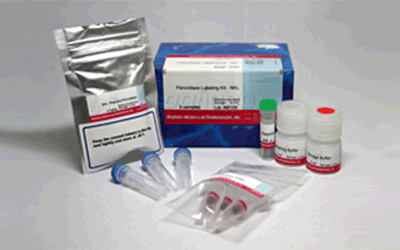 抗体標識キット Ab-10 Rapid Peroxidase Labeling Kit　