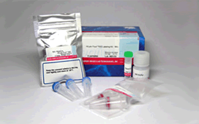 抗体・タンパク質標識キット ICG Labeling Kit - NH2　