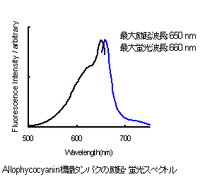抗体・タンパク質標識キット Allophycocyanin Labeling Kit - SH　