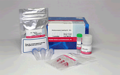 抗体・タンパク質標識キット Allophycocyanin Labeling Kit - SH　