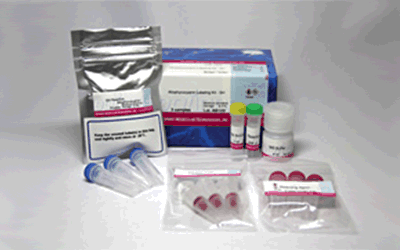 抗体・タンパク質標識キット Allophycocyanin Labeling Kit - NH2　