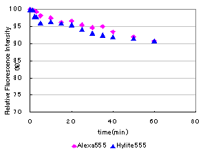 抗体・タンパク質標識キット HiLyte Fluor&trade; 647 Labeling Kit - NH2　