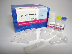 抗体・タンパク質標識キット HiLyte Fluor&trade; 647 Labeling Kit - NH2　