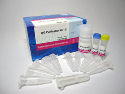 抗体・タンパク質標識キット HiLyte Fluor&trade; 647 Labeling Kit - NH2　