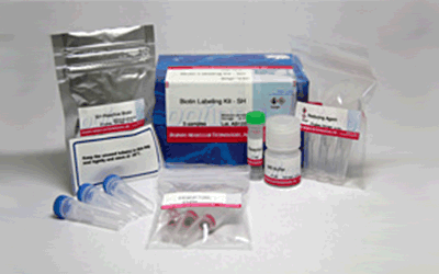 抗体・タンパク質標識キット Biotin Labeling Kit - SH　