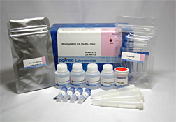 抗体・タンパク質標識キット Biotinylation Kit (Sulfo-OSu)　
