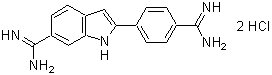 菌蛍光染色用色素 -Bacstain- DAPI solution　