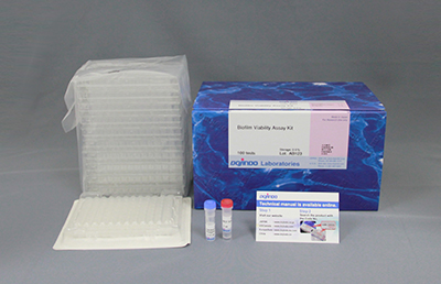 バイオフィルム薬剤効果測定キット Biofilm Viability Assay Kit　