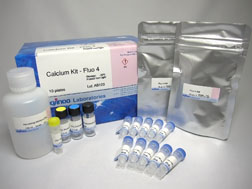 細胞内カルシウムイオン測定キット Calcium Kit - Fluo 4　