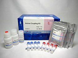 Self Assembled Monolayer(SAM)研究用キット Amine Coupling Kit　