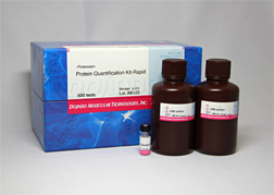 タンパク質定量キット -Proteostain-Protein Quantification Kit-Rapid　