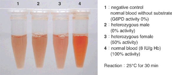 グルコース-6-リン酸脱水素酵素活性測定用キット G6PD Assay Kit-WST　